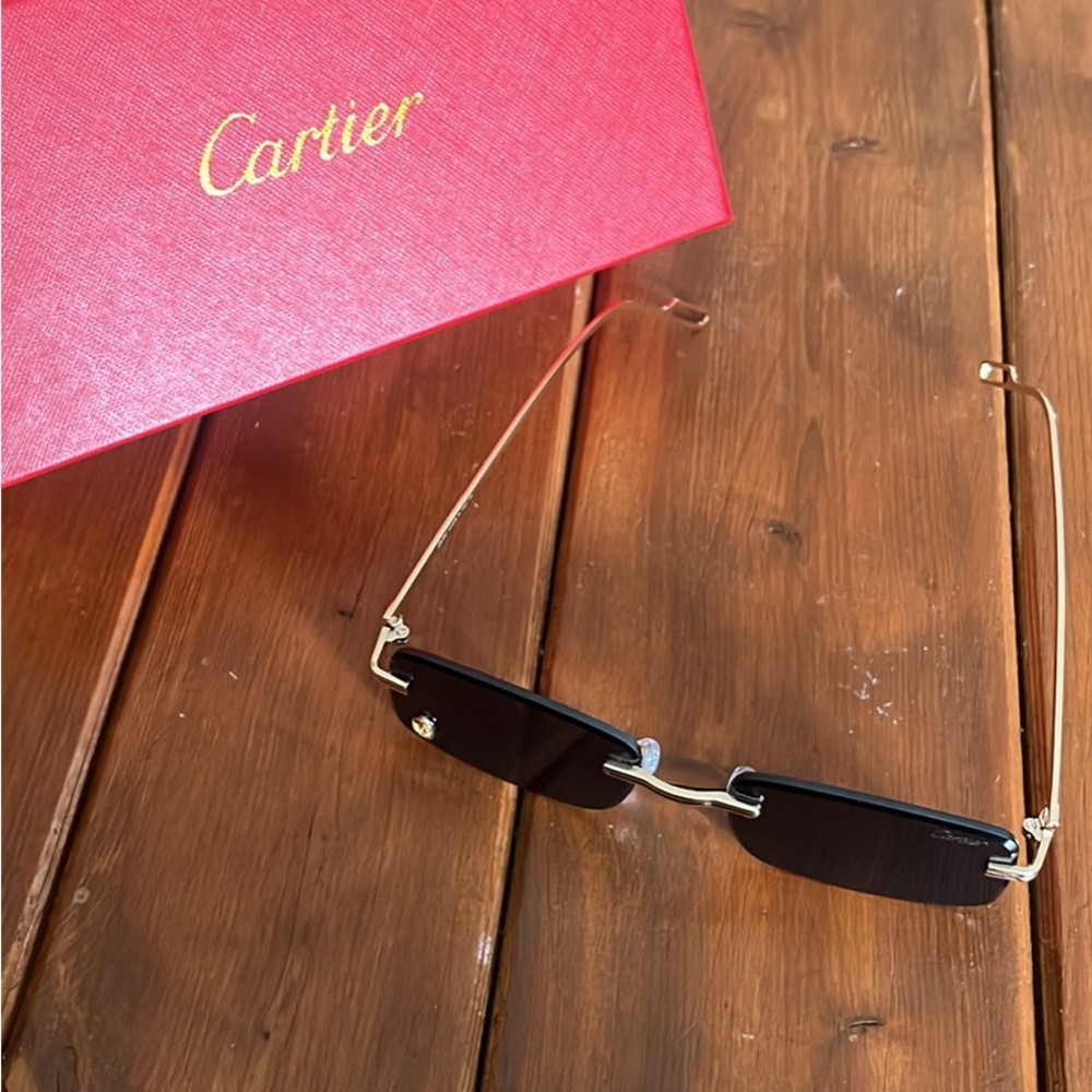 Cartier Black Sunglasses